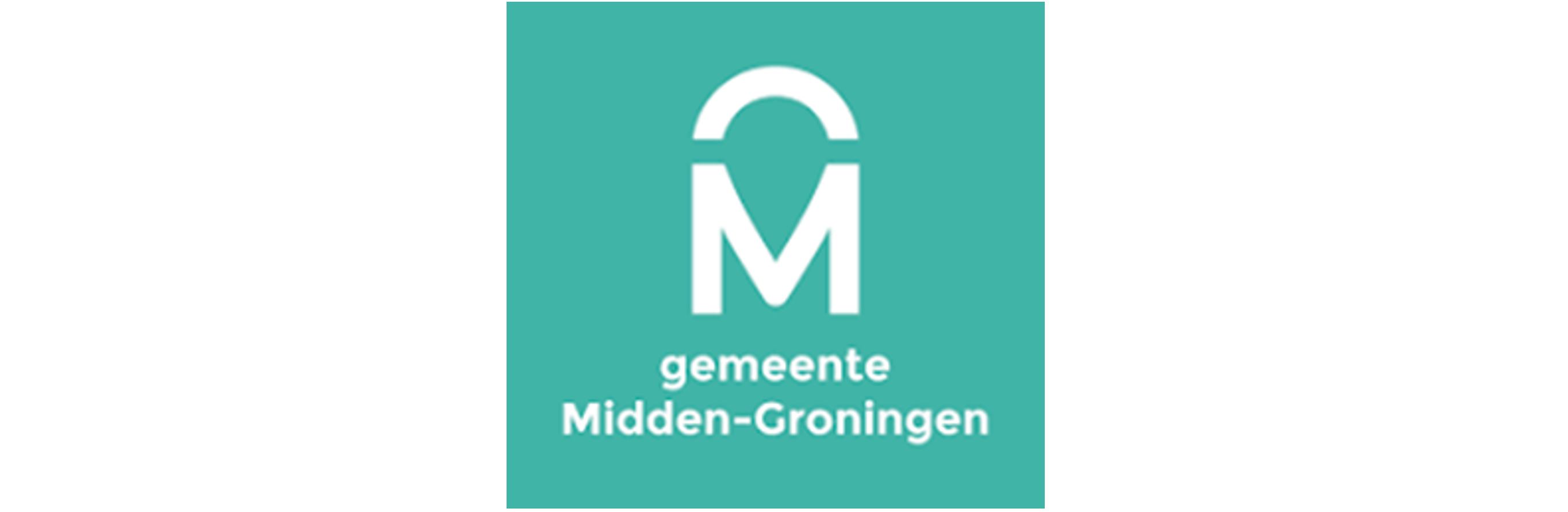 Strategisch adviseur Verkeer & Vervoer